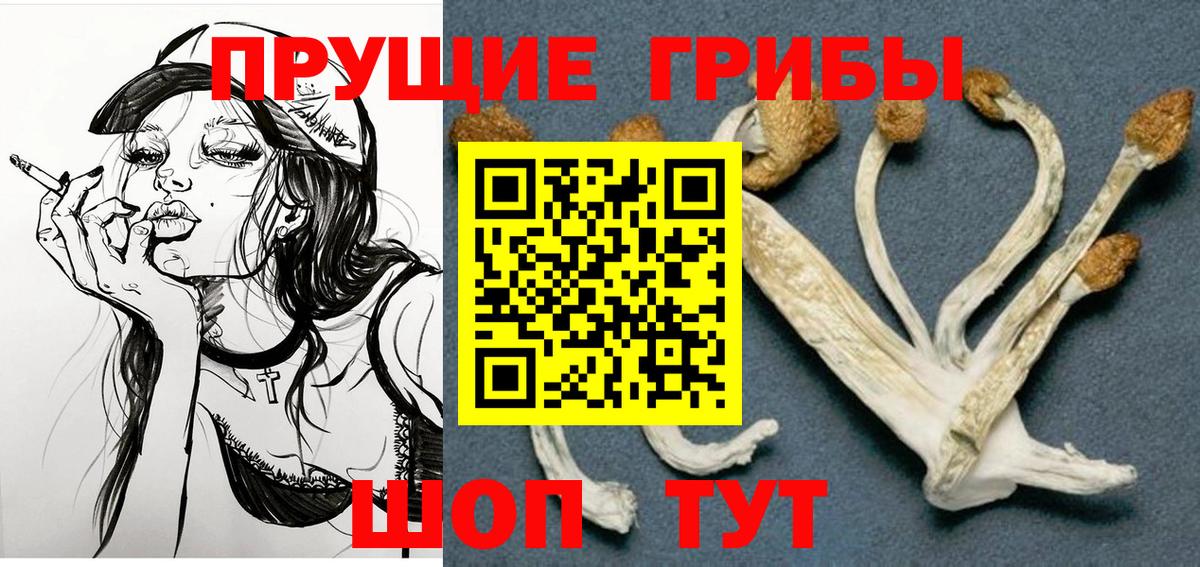 Псилоцибиновые грибы мицелий  Вход с VPN  Уварово 
