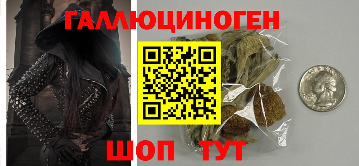 Псилоцибиновые грибы Psilocybine cubensis Уварово
